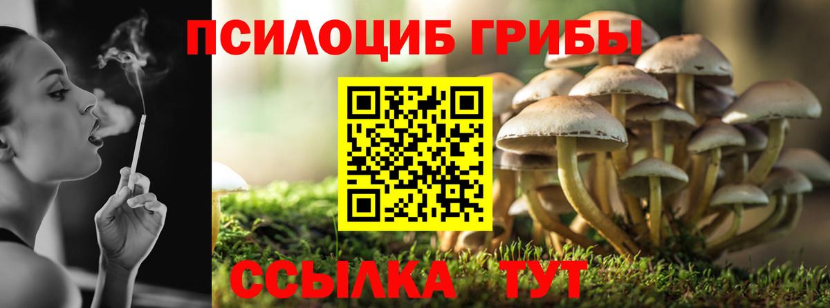 Псилоцибиновые грибы GOLDEN TEACHER  магазин    Вход с VPN  Арсеньев  Псилоцибиновые грибы ЛСД 